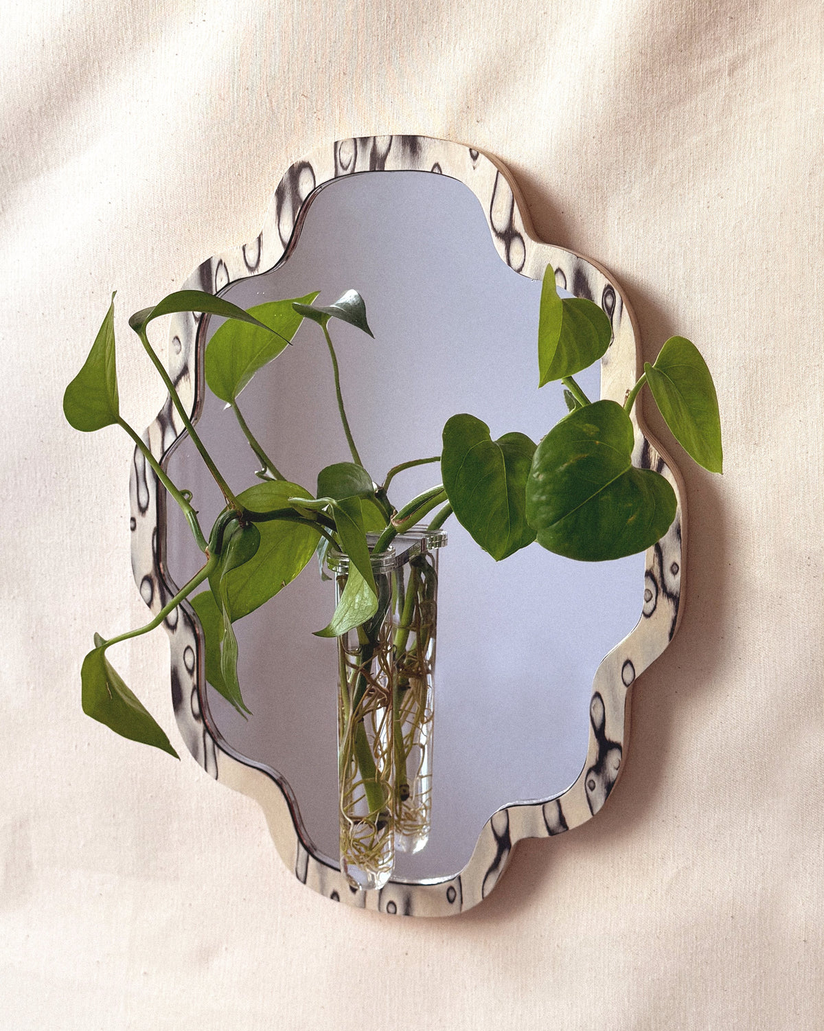 Large Scalloped botanical mirror - moiré veneer