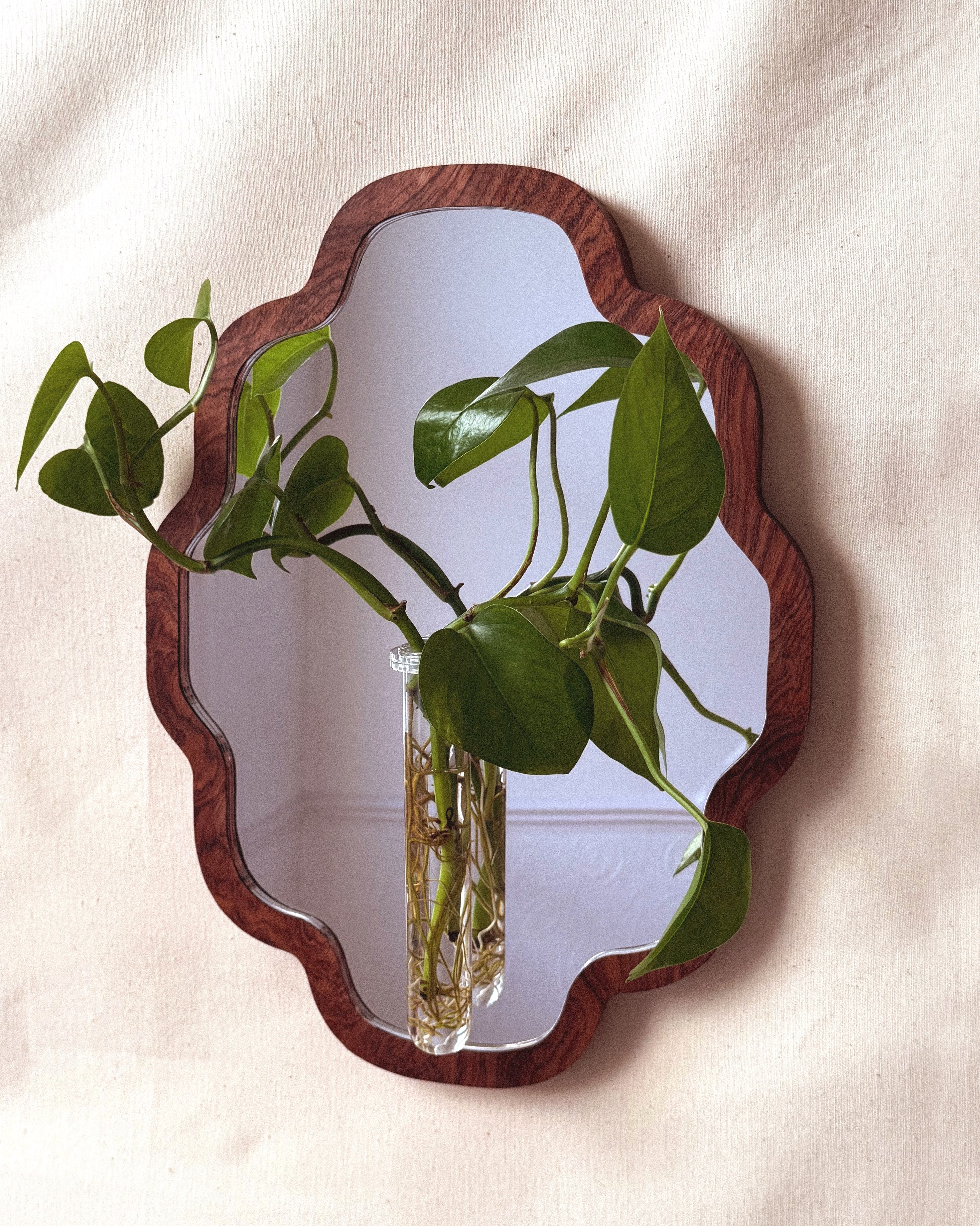 Large Scalloped botanical mirror - walnut veneer