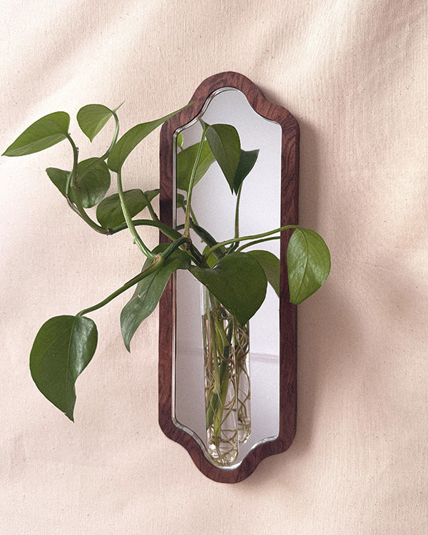 Curved Botanical Mirror - walnut veneer